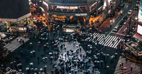 属羊2024年6月2日运势,属羊人2024年6月2日财运,生肖羊2024年6月2日运势